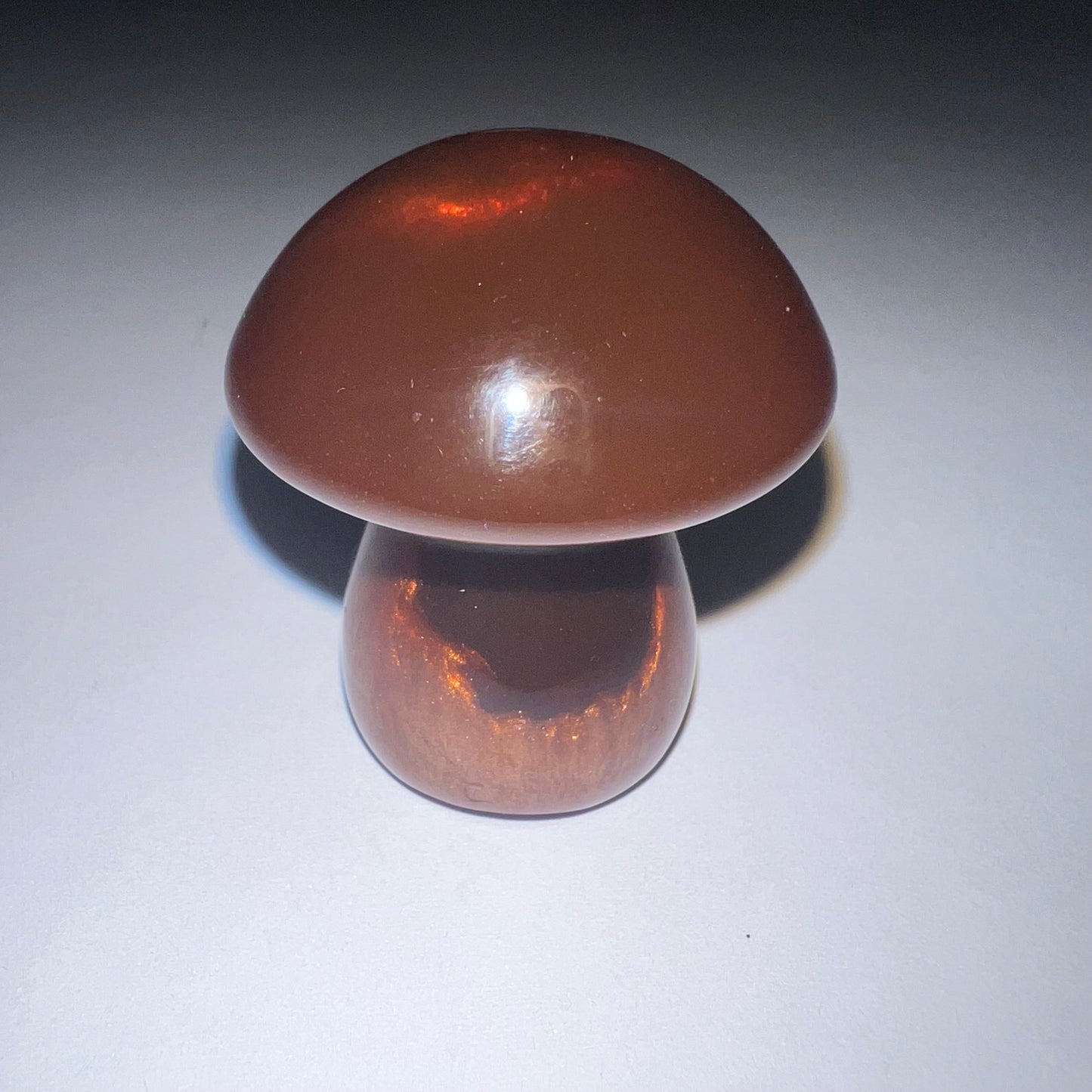 Mushroom - Magnet