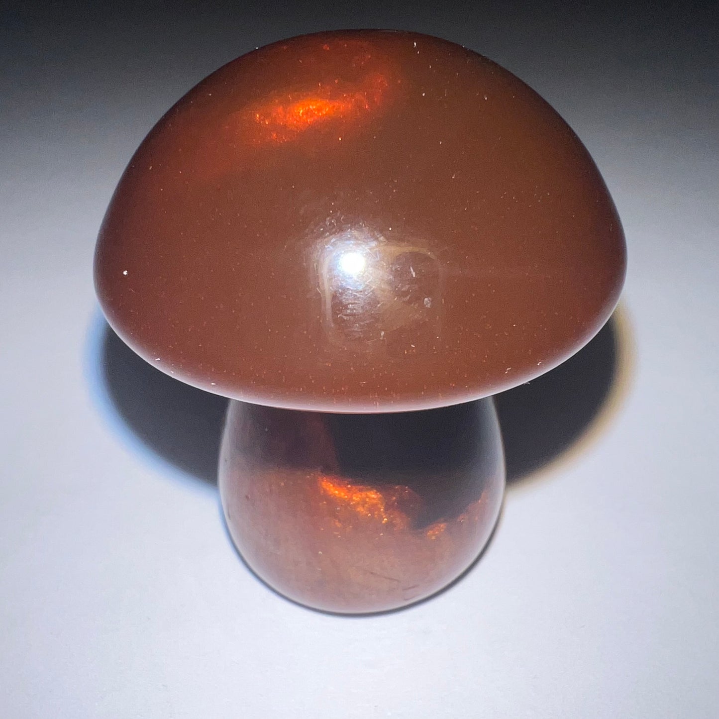 Mushroom - Magnet